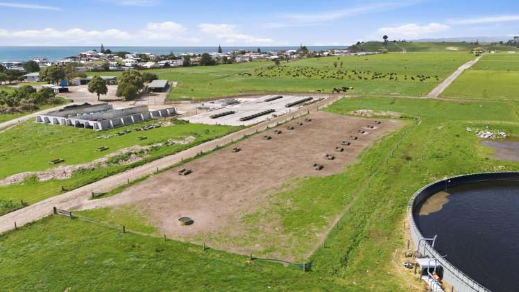 2 Gardiner Place Pukehina_16