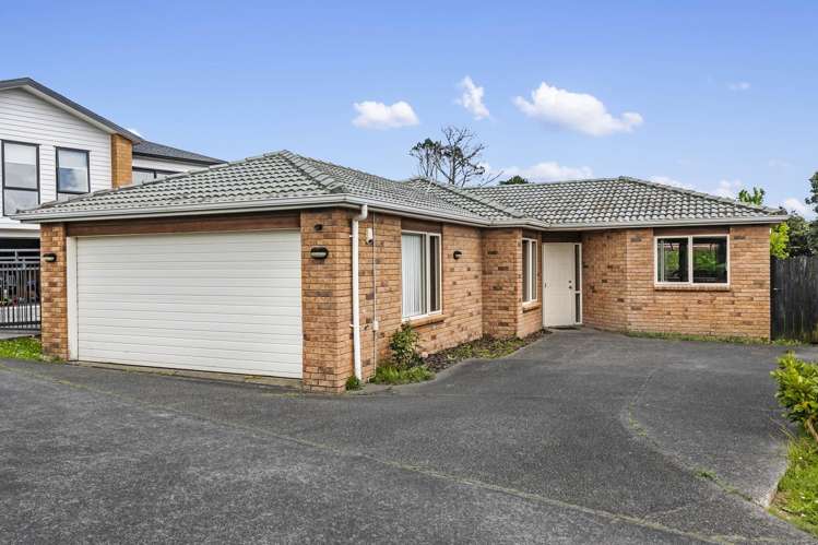 38 Pitt Avenue Clendon Park_1