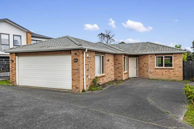 38 Pitt Avenue Clendon Park_1