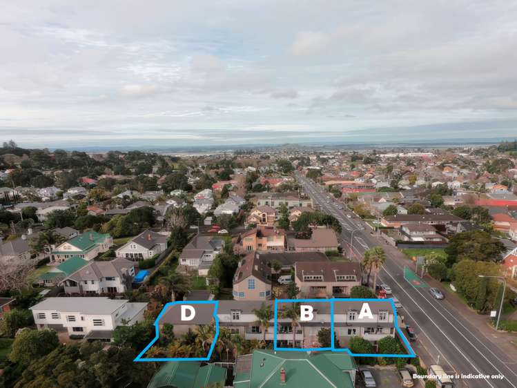 612D Manukau Road Epsom_25