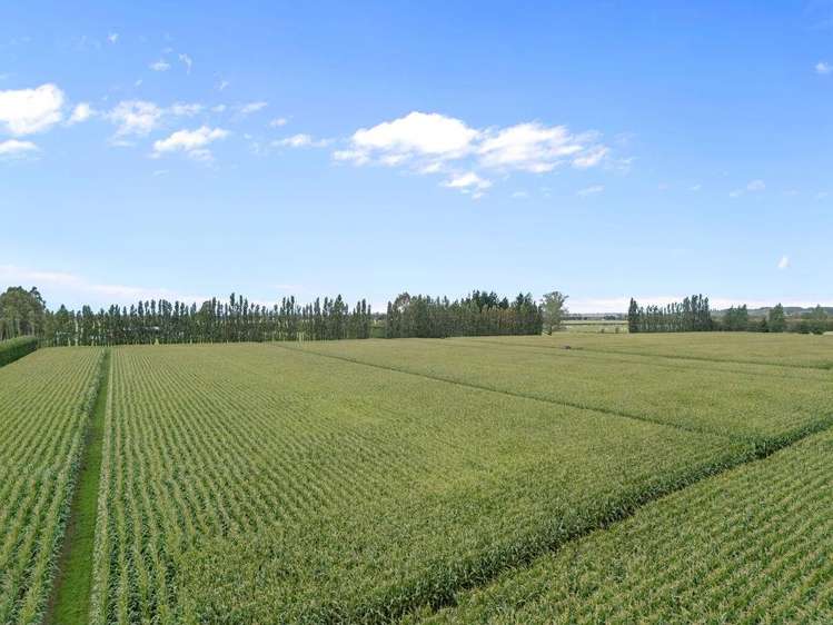 349 Wakanui Road Ashburton_5