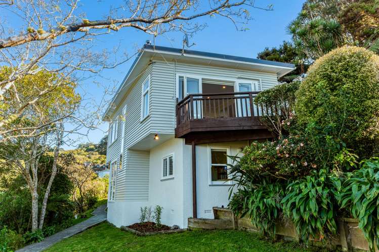 4 Broomhill Road Aro Valley_10