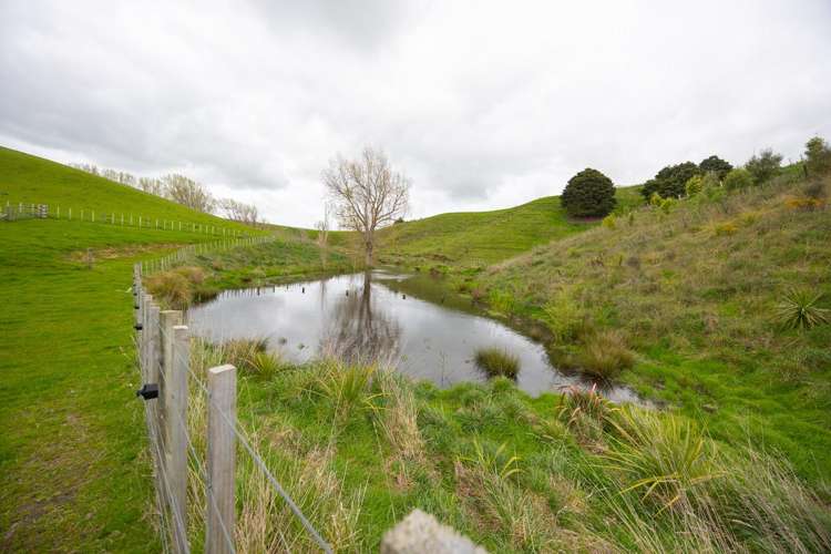 234 Sandon Road Feilding_16