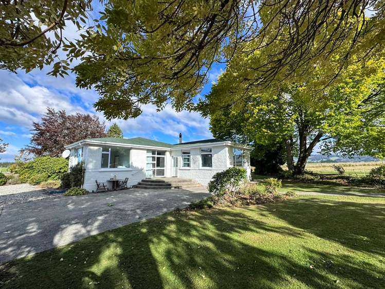 486 Steffan Road St Patricks_4