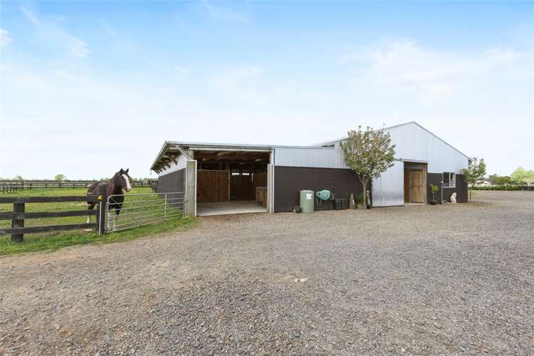 27c Marshmeadow Road Newstead_26