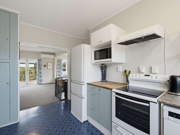 62 Elizabeth Street Allenton_4