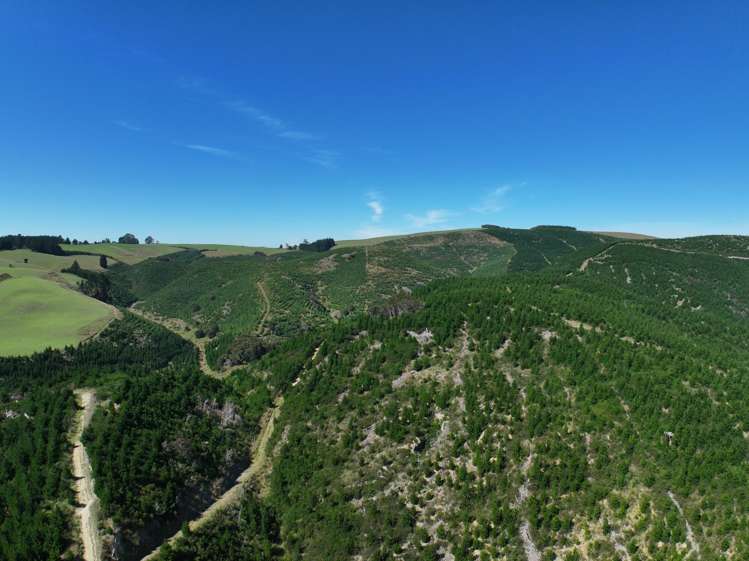 Waitahuna Gully Road Waitahuna Gully_21