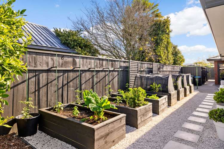 71 Taylor Street Cambridge_29