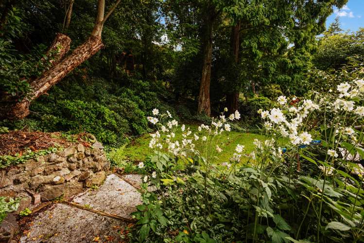 12 Spylaw Street Maori Hill_39