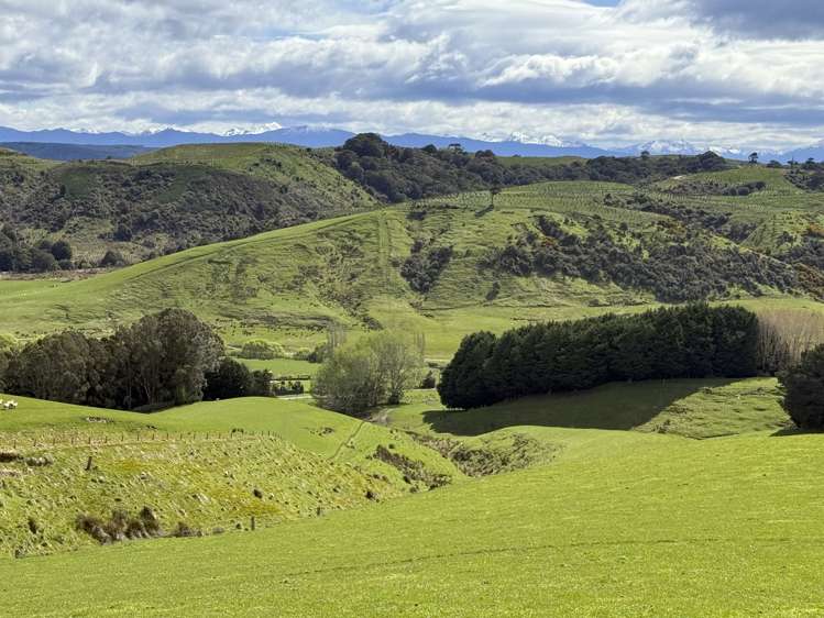 2207 Otautau Tuatapere Road Pukemaori_19