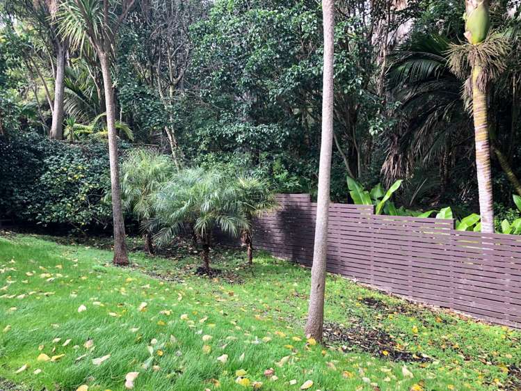 20 Stratford Street Parnell_18