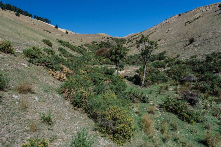 85 Cloudy Bay Drive Riverlands_6