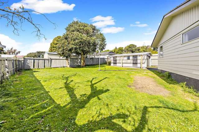 342 Roscommon Road Clendon Park_3