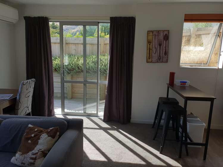 100a Mcbride Street Frankton_3