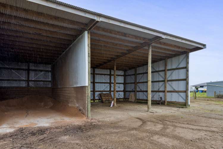 256 Lower Stuart Road Eltham_11