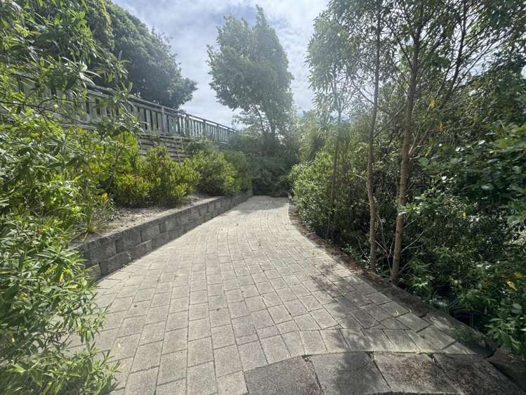 105 Holliss Avenue Cashmere_12