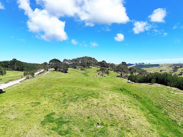 320A Babylon Coast Road Dargaville_2