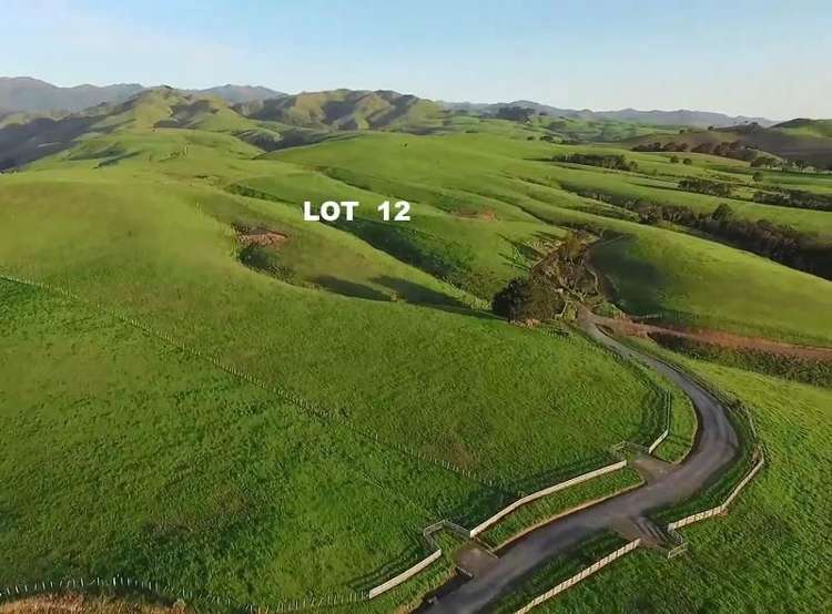 115 Chester Park Road Carterton_2