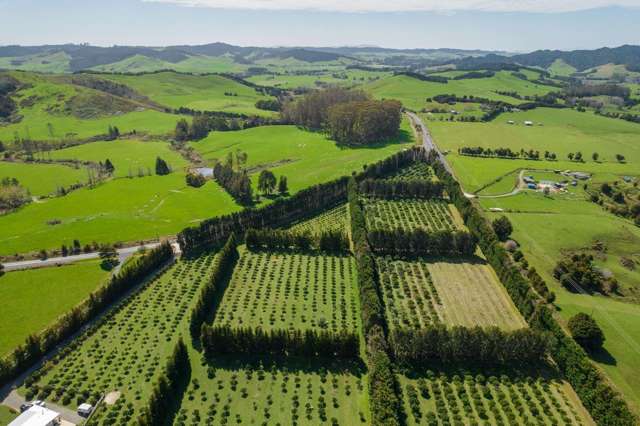 908A Te Ahu Ahu Road, Waimate North Kerikeri_3