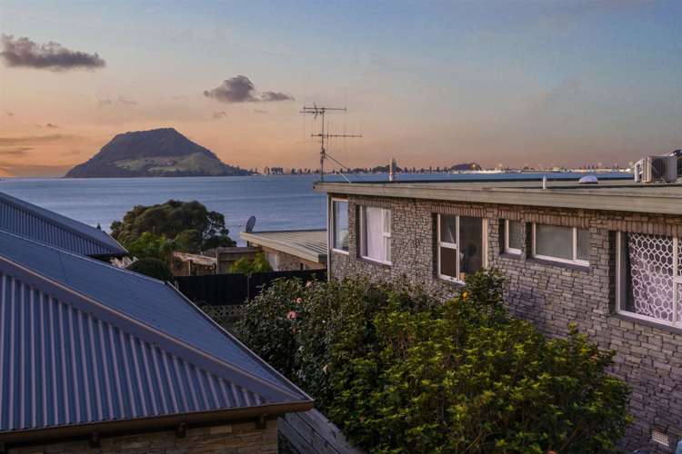 165a Ngatai Road Otumoetai_4