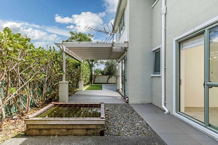 9 Hatfield Place Albany Heights_26