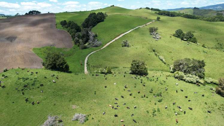 95 Mason Road Maromaku_8