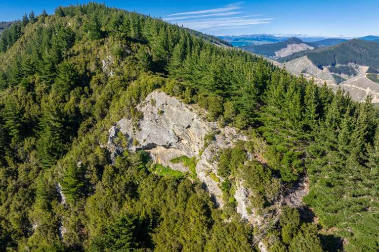 793 Waikakaho Road Tua Marina_9