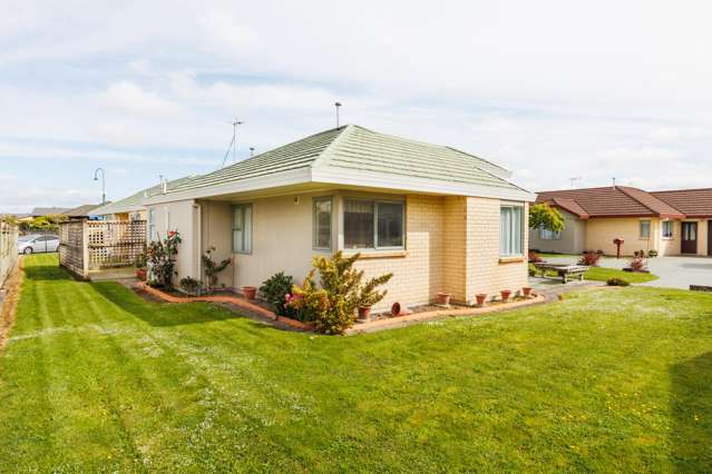 4 Foxtail Fern Kelvin Grove_1