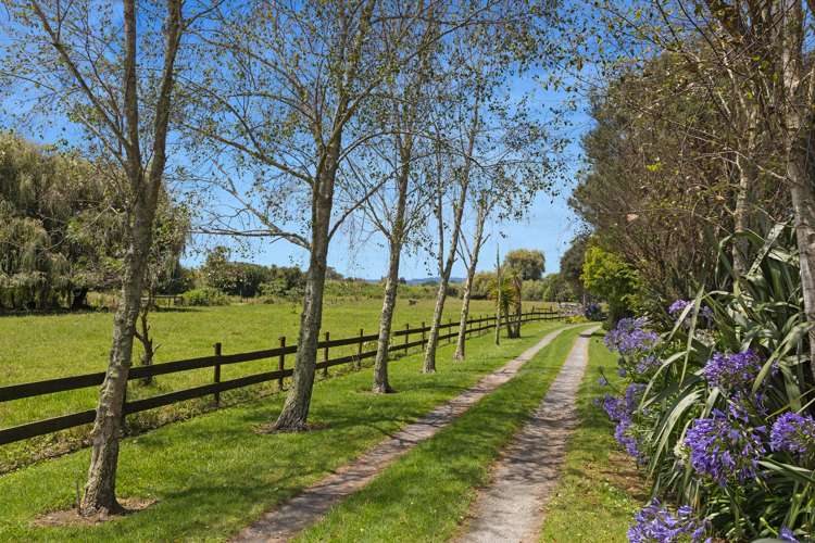 4 Hydro Road Edgecumbe_15