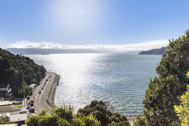 2/12 Te Anau Avenue Hataitai_6