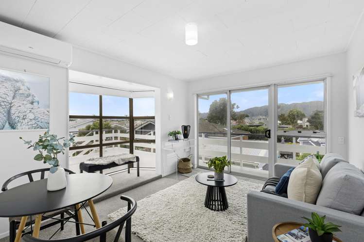 3E Manchester Street Petone_6