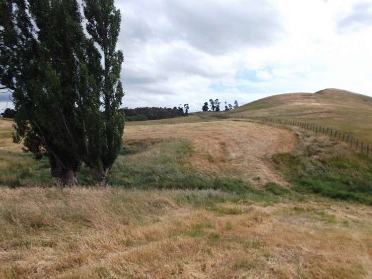 66 Jg Wilson Drive Waipukurau and Surrounds_8