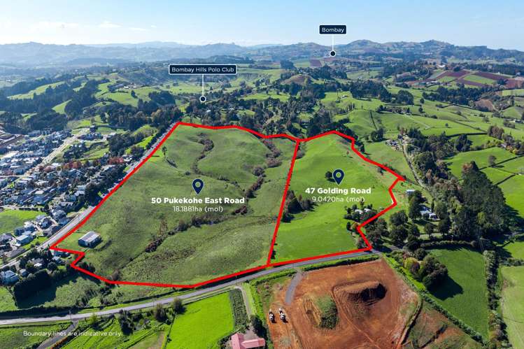 47 Golding Road and 50 Pukekohe East Road Pukekohe_6