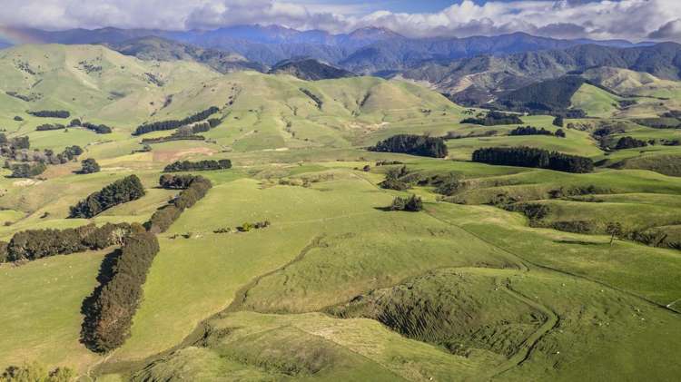 72 Te Hau Road Masterton_18