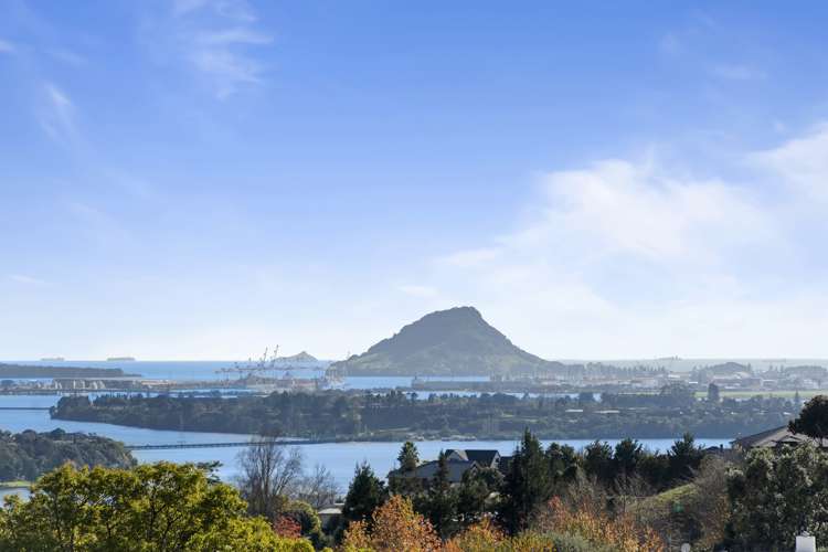 17 Holcombrooke Lane Welcome Bay_12