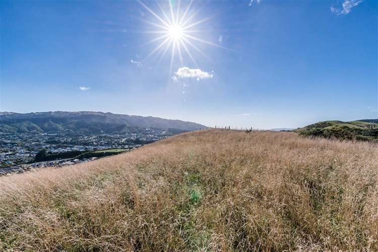 72 Bing Lucas Drive Tawa_12