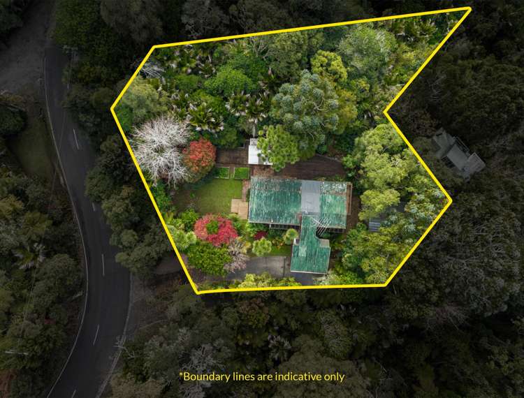  30 Park Road Titirangi_30