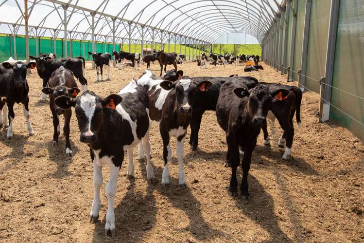 184 South Road No 2 Eketahuna_19