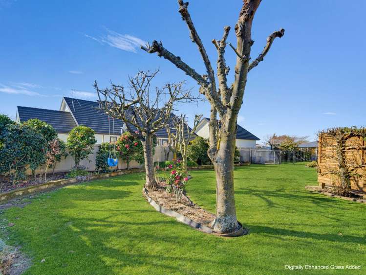 22 Boyce Street Renwick_24
