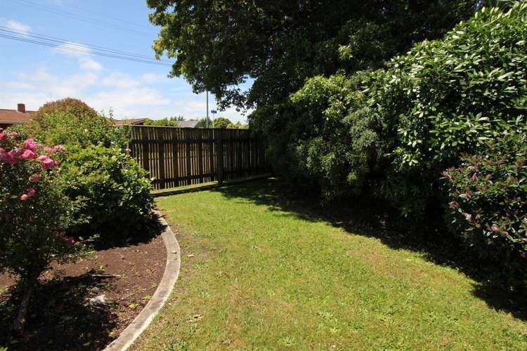 15 Wilson Street Bulls_8