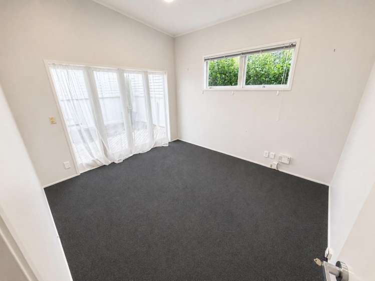 22B Jervois Road Ponsonby_5