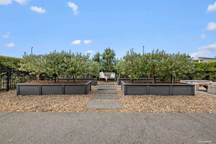 1 Lydiard Place Beachlands_15