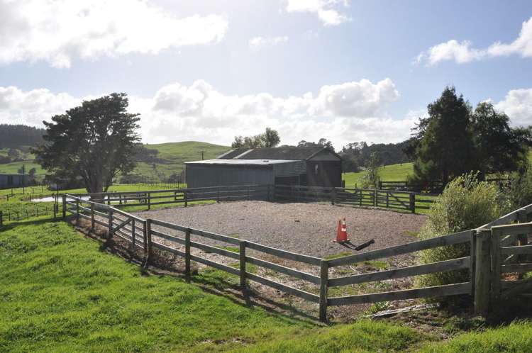 274 Partridge Road Wellsford_15