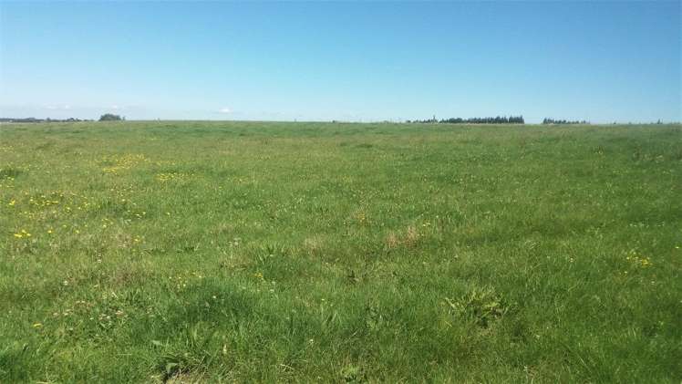 155 Spur Road West Feilding_0