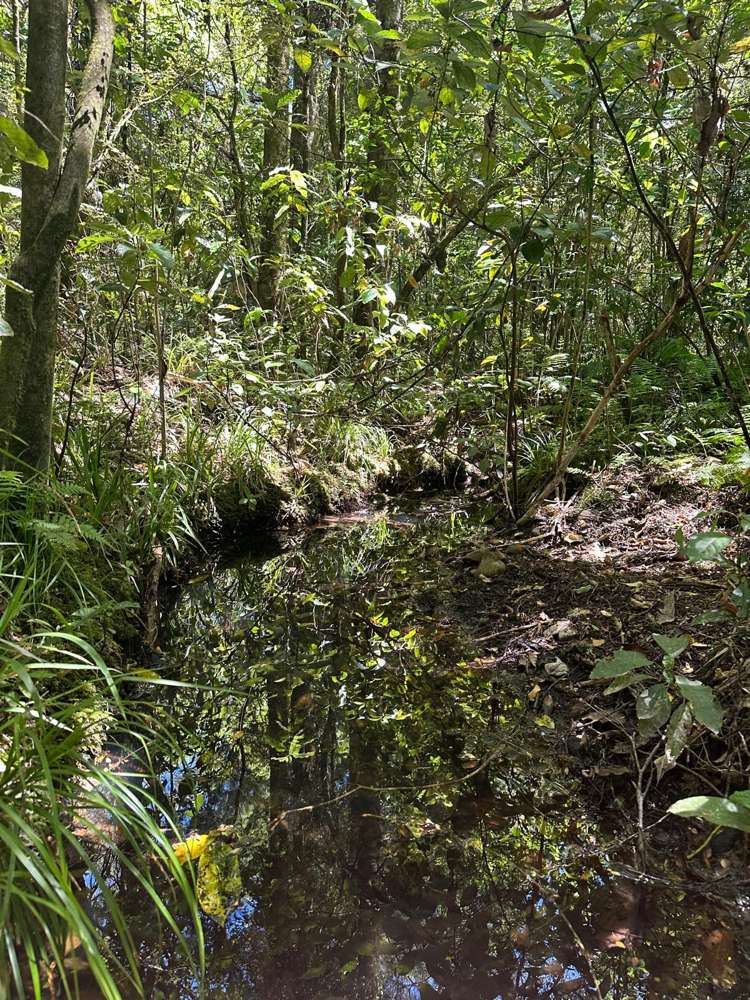 240 Teapot Valley Road Brightwater_41