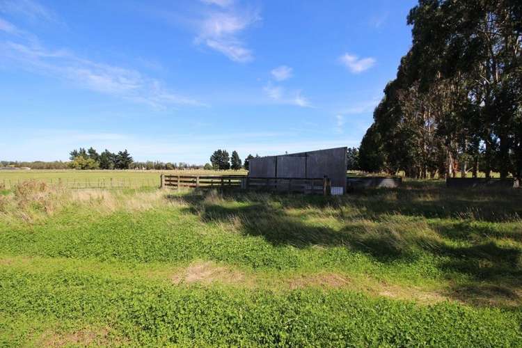 112 Calico Line Marton_73