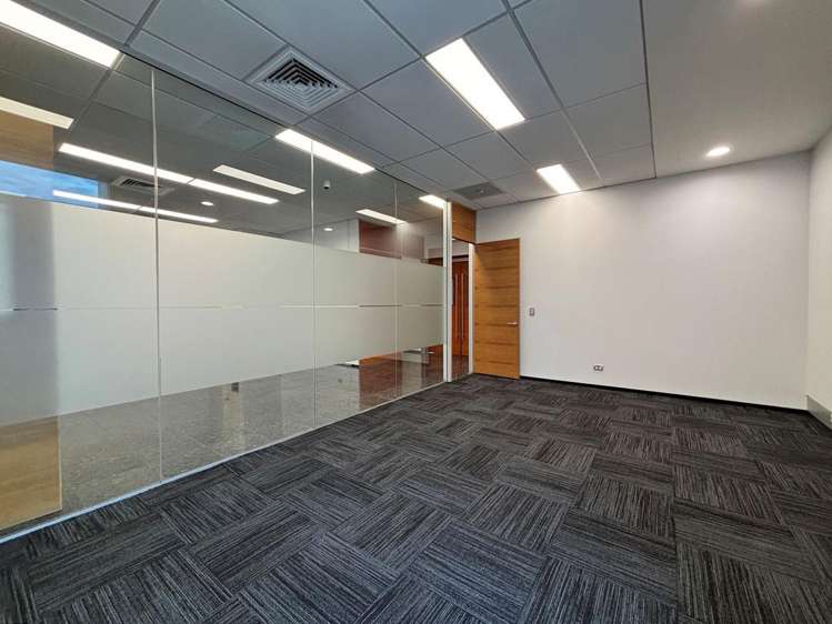 7 Show Place Addington_4