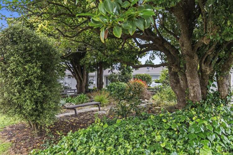 3/2 Ryan Avenue Chartwell_9