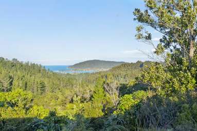 151B SH25 Tairua-Whitianga Hwy_4
