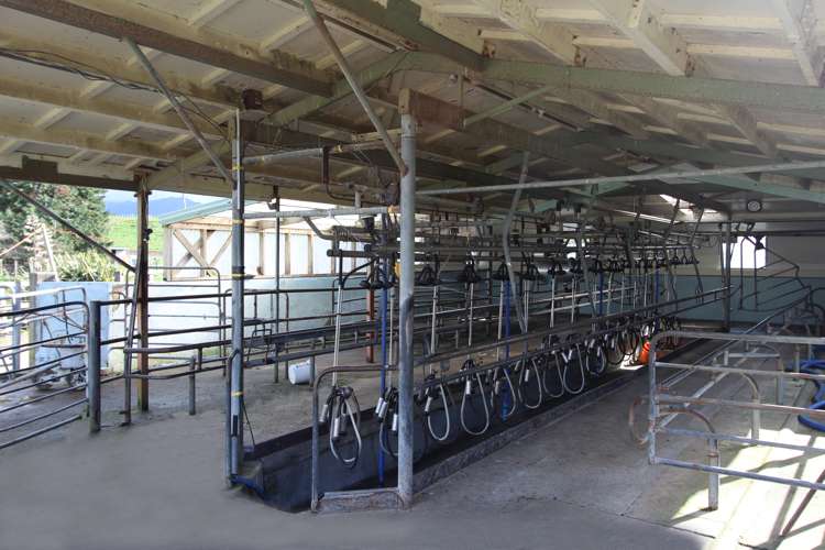 579 Kopikopiko Road Eketahuna_2